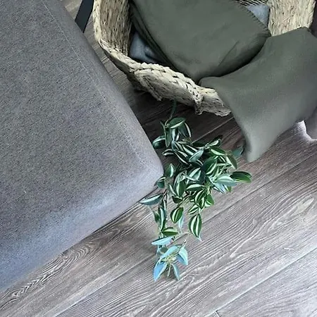 Sea-mist Luxury Escape شقة